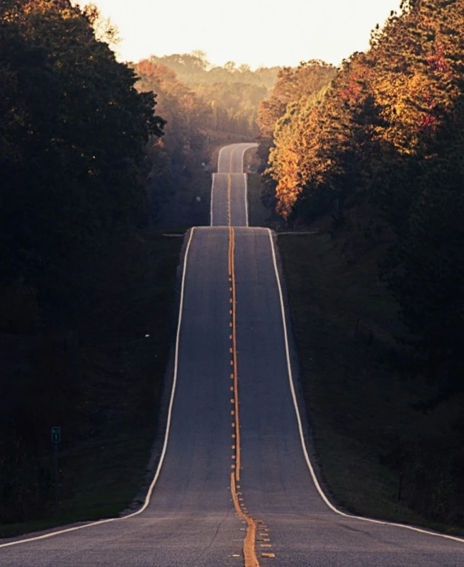 Academic Roadmap Schweiz: Ihre Möglichkeiten im Bildungssystem verstehen und nutzen