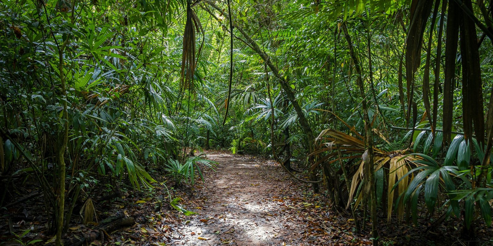 Masterdschungel: Orientierung im Schweizer Weiterbildungs- und Hochschulsystem